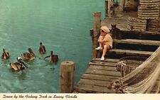 Florida-FL, Down By The Fishing Dock In Sunny Boy Watching Birds Old Postcard picture