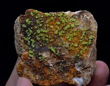 70g TOP Natural Pyromorphite Spherical Crystal Cluster Mineral Specimen China picture