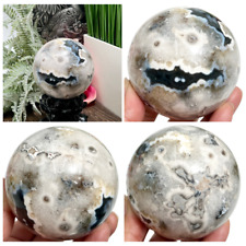 Argentina Black Flower Agate Sphere Healing Crystal Ball 593g 75mm picture