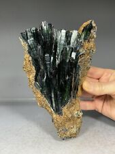 SS Rocks - Vivianite Crystals (Amazonas, Brazil) 1 .37lbs picture