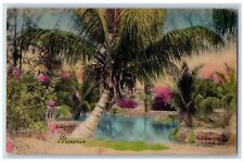 Miami Florida Postcard Scenic View Of Coconut Tree Pond 1936 Vintage Handcolored picture