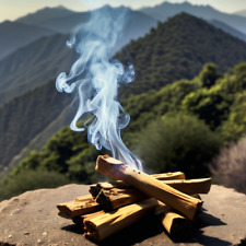 New Palo Santo incense sticks 4