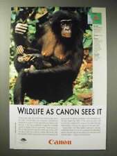 2003 Canon Ad - Bonobo picture