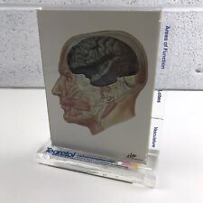Vintage Medical Model - Tegretol Brain - Illustrations by F. Netter - Ciba-Geigy picture