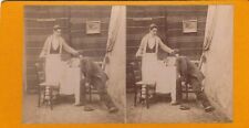 STEREOSCOPIC PHOTO 80X150 HEP GENTLEMAN TOO MUCH C IS TOO MUCH picture