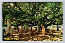 HI-Hawaii, Scenic Greetings, Banyan Tree, Antique Souvenir Vintage Postcard picture