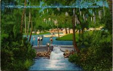 TROPICAL PARK SANLANDO SPRINGS NEAR ORLANDO, FL THE CITY--c. 1950--POSTCARD  301 picture