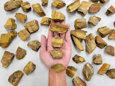 Bulk Raw Tigers Eye Crystal Rough Gem Stones by Pound for Tumbling Healing Reiki picture