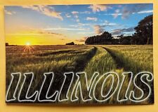  Postcard IL: Illinois Sunset Wheat Field  picture