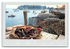 Postcard Lobster Ready for Market, Five Islands, Maine ME gray trim K13 picture