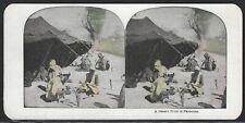 A Desert tribe in Palestine, Hand Colored Stereographic View Card picture