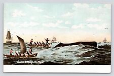 Sperm Whaling The Chase Men in Boasts Hunting Whales Old VTG UDB Unused Postcard picture