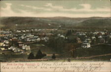 1906 Randolph,VT Birds Eye View Orange County Vermont A.E. Bass Postcard Vintage picture