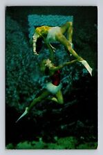 Weeki Wachee Springs FL-Florida, Underwater Swimmers, Antique Vintage Postcard picture