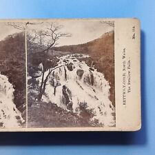 Conway StereoView 3D C1895 The Castle Suspension Bridge By Spencer Wales picture