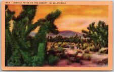 Joshua Trees On The Desert In California CA Grotesque Shapes Postcard picture