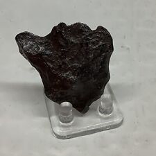 48 Gm Canyon Diablo Iron Meteorite Top Grade Arizona Stand Included picture