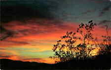 Postcard:  Spectacular Sunrises and Creosote Bushes picture