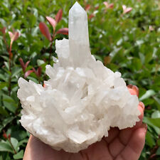 1.83Lb Natural Clear Quartz Cluster Point mineral Crystal Healing D100 picture
