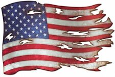 Tattered American Flag Plasma 19