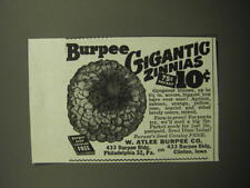 1949 W. Atlee Burpee Co. Ad - Burpee Gigantic Zinnias picture