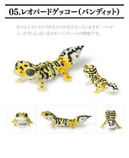 Diversity of Life on Earth Figure Bandai Gashapon Toys Leopard Gecko Bandit picture