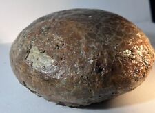 Real Hadrosaur Dinosaur Egg Base Matrix Has Been Removed picture