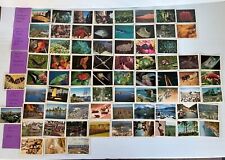 A Vintage Rare Mixed Set of 96 Weet-Bix 1970s & 1980s Trading Cards Australian picture