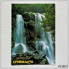 O'Reilly's Mountain Resort Chalahn Falls Tooloona Creek NCV Postcard (P807) picture