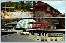 Gatlinburg, Tennessee - Luxuriously Skyline Motel - Vintage Postcard - Unposted picture