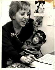 Vintage MONKEY CHIMP Dressed up Sit On Reporter Woman Lap L.A Times Press Photo picture