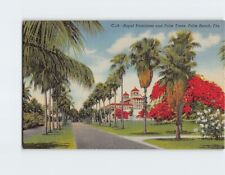 Postcard Royal Poinciana and Palm Trees Palm Beach Florida USA picture