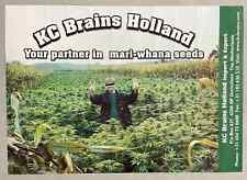 Vintage marijuana poster KC Brains Holland cannabis counterculture cause  picture