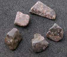 NWA 869 Meteorite Chondrite Stone Specimen 5 PCS LOT Rock Authentic Guaranteed picture