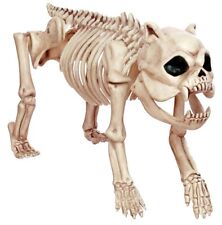 Realistic Fake Dead Pet ZOMBIE SKELETON PIT BULL DOG Creepy Halloween Decoration picture