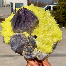14.8LB Minerals ** LARGE NATIVE SULPHUR OnMATRIX Sicily With+amethyst Crystal picture