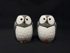 NEW Anthropologie Art Pottery Style Ceramic Owl Salt and Pepper Shakers picture