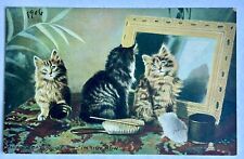 Landors Cat Studies. 1906. I’m Tidy Now. Kittens By Mirror Vintage Postcard picture