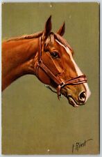 rivst artist signed vintage stehli postcard of brown horse picture