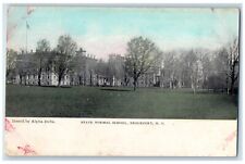 c1905 State Normal School Field Exterior Brockport New York NY Vintage Postcard picture