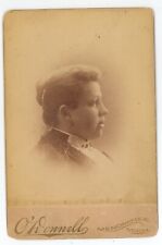 Antique Circa 1880s Cabinet Card O'Donnell Profile of Lovely Woman Menominee, MI picture