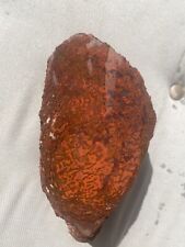 Agatized dinosaur gem bone - From Morrison Formation Colorado - Red picture