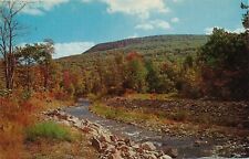 Big Pocono Camelback Mountain at Tannersville, Pennsylvania vintage unposted picture