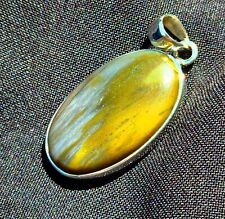 Authentic Arizona rainbow petrified wood pendant sterling silver  picture