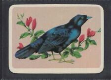 SATIN BOWER BIRD - 50 + year old Aus Trade Card # 9 picture