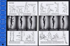 POSTURE of the Human Body, Good vs Bad, Exercises to improve- 1950s Pictorial picture