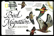 2004-4 April National Geographic Map BIRD MIGRATION EAST WEST HEMISPHERE -B(AD)) picture