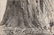 RPPC Postcard General Custer Sequoia Redwood Tree Del Norte California  picture