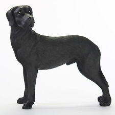 Great Dane Figurine Hand Painted Collectible Statue Black Uncropped picture