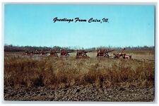 c1960 Greetings From Cairo Soy Bean Harvest Crop Farm Illinois Vintage Postcard picture